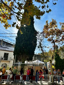 entrada escola